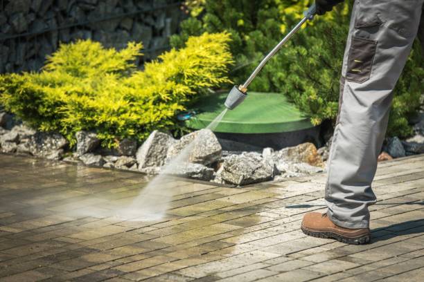 Best Winterizing Services  in Bluffton, OH